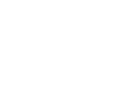 SAPSAN SERVICES